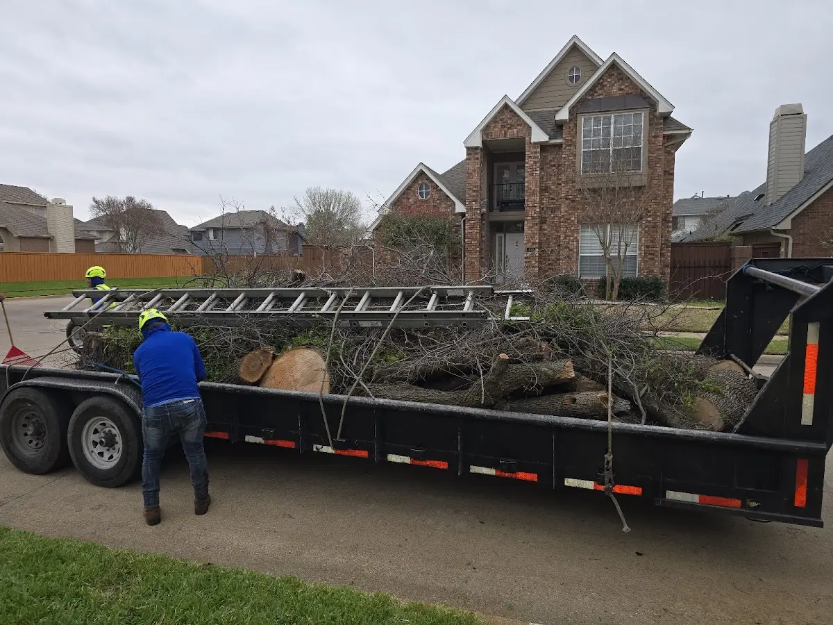 Expert Tree Fertilization with proper safety equipment in Ronco
